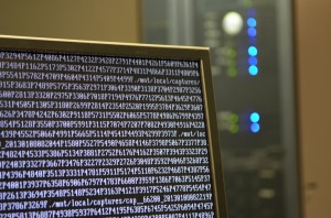 Monitor